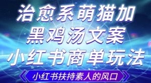 治愈系萌猫加+黑鸡汤文案,小红书商单玩法,3~10天涨到1000粉,一单200左右|淘骐网赚资源库