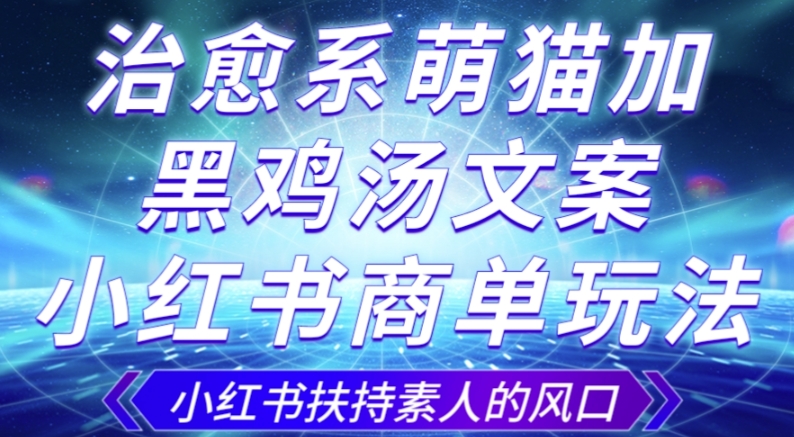 治愈系萌猫加+黑鸡汤文案,小红书商单玩法,3~10天涨到1000粉,一单200左右|淘骐网赚资源库