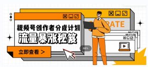一条视频收益3000+,一条作品涨粉2000+,视频号流量爆炸·的秘籍|淘骐网赚资源库