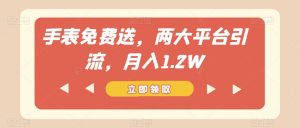 手表免费送，两大平台引流，月入1.2W【揭秘】|淘骐网赚资源库