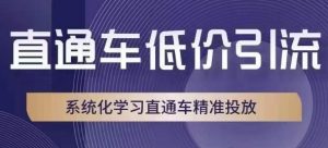 直通车低价引流课，系统化学习直通车精准投放|淘骐网赚资源库