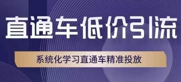 直通车低价引流课,系统化学习直通车精准投放|淘骐网赚资源库