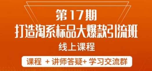 南掌柜-第17期打造淘系标品大爆款,5天线上课|淘骐网赚资源库