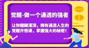 觉醒-做一个通透的强者,让你醍醐灌顶,拥有通透人生的觉醒开悟课,掌握强大的秘密!|淘骐网赚资源库