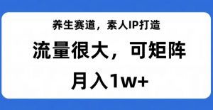 养生赛道,素人IP打造,流量很大,可矩阵,月入1w+【揭秘】|淘骐网赚资源库