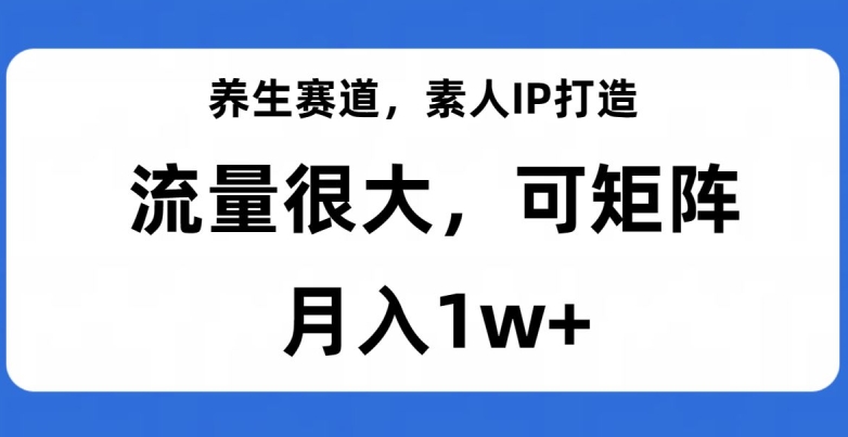 养生赛道,素人IP打造,流量很大,可矩阵,月入1w+【揭秘】|淘骐网赚资源库