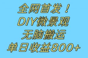 全网首发冷门赛道！DIY微景观，无脑搬运视频，日收益800+【揭秘】|淘骐网赚资源库