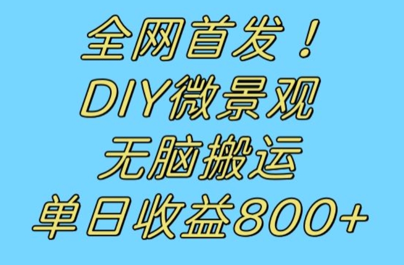 全网首发冷门赛道！DIY微景观，无脑搬运视频，日收益800+【揭秘】|淘骐网赚资源库