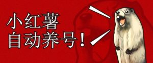 小红书养号秘籍,如何自动涨粉清晰系统标签打造高权重账号【揭秘】|淘骐网赚资源库