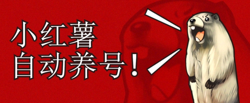 小红书养号秘籍,如何自动涨粉清晰系统标签打造高权重账号【揭秘】|淘骐网赚资源库