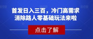 首发日入三百，冷门高需求消除路人零基础玩法来啦【揭秘】|淘骐网赚资源库
