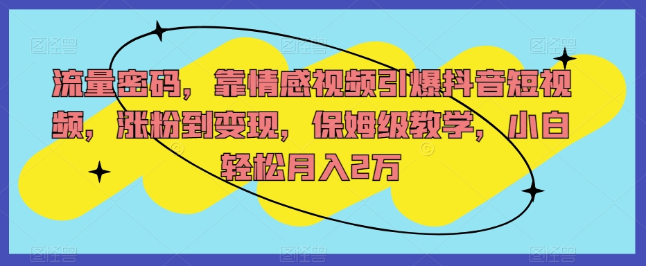 流量密码,靠情感视频引爆抖音短视频,涨粉到变现,保姆级教学,小白轻松月入2万【揭秘】|淘骐网赚资源库