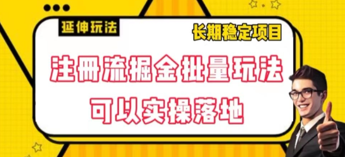 注册流掘金批量玩法,可以实操落地【揭秘】|淘骐网赚资源库