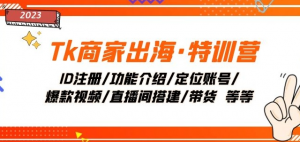 Tk商家出海·特训营:ID注册/功能介绍/定位账号/爆款视频/直播间搭建/带货|淘骐网赚资源库