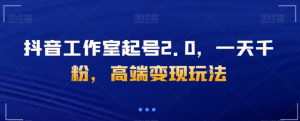 抖音工作室起号2.0，一天千粉，高端变现玩法【揭秘】|淘骐网赚资源库