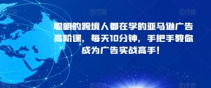 聪明的跨境人都在学的亚马逊广告高阶课,每天10分钟,手把手教你成为广告实战高手!|淘骐网赚资源库