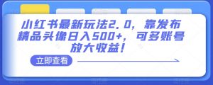 小红书最新玩法2.0，靠发布精品头像日入500+，可多账号放大收益！【揭秘】|淘骐网赚资源库