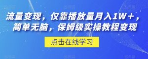 流量变现,仅靠播放量月入1W+,简单无脑,保姆级实操教程【揭秘】|淘骐网赚资源库