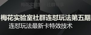 梅花实验室社群连怼玩法第五期,视频号连怼玩法最新卡特效技术|淘骐网赚资源库