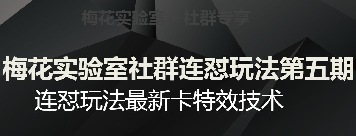 梅花实验室社群连怼玩法第五期，视频号连怼玩法最新卡特效技术|淘骐网赚资源库