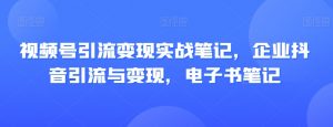 视频号引流变现实战笔记,企业抖音引流与变现,电子书笔记|淘骐网赚资源库