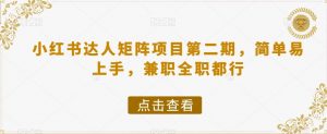 小红书达人矩阵项目第二期，简单易上手，兼职全职都行|淘骐网赚资源库
