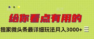 独家微头条最详细玩法，月入3000+【揭秘】|淘骐网赚资源库