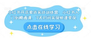 小红书开店卖货实战训练营,小红书入门到精通课,7天时间实现快速变现|淘骐网赚资源库
