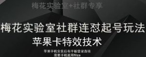 梅花实验室社群视频号连怼起号玩法，最新苹果卡特效技术|淘骐网赚资源库