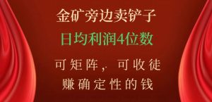 金矿旁边卖铲子，赚确定性的钱，可矩阵，可收徒，日均利润4位数【揭秘】|淘骐网赚资源库