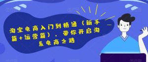 淘宝电商入门到精通(新手篇+运营篇),带你开启淘系电商之路|淘骐网赚资源库