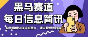 黑马赛道每日信息简讯，起号超级快自带流量大，通过视频号收益【揭秘】|淘骐网赚资源库