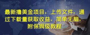 最新撸美金项目,上传文件,通过下载量获取收益,简单无脑,附保姆级教程【揭秘】|第一资源库