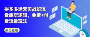 拼多多运营实战班流量底层逻辑,免费+付费流量玩法|淘骐网赚资源库
