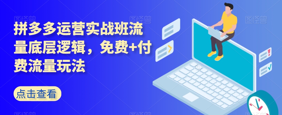拼多多运营实战班流量底层逻辑,免费+付费流量玩法|淘骐网赚资源库