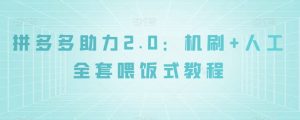 拼多多助力2.0：机刷+人工全套喂饭式教程【揭秘】|淘骐网赚资源库