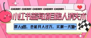 小红书蓝海项目路人消失术,帮人p图,也能月入过万,实测一天300+【揭秘】|淘骐网赚资源库