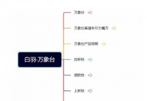 白羽·直引万搜索全篇，从0-1，多个类目实操经验总结付费|淘骐网赚资源库