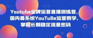 Youtube金牌运营直播训练营,国内最系统YouTuBe运营教学,掌握长期稳定流量密码|淘骐网赚资源库