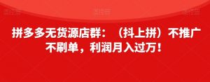 拼多多无货源店群：（抖上拼）不推广不刷单，利润月入过万！【揭秘】|淘骐网赚资源库