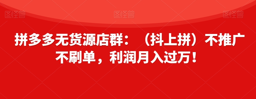 拼多多无货源店群：（抖上拼）不推广不刷单，利润月入过万！【揭秘】|淘骐网赚资源库