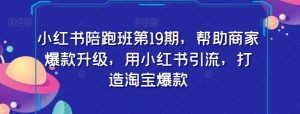 小红书陪跑班第19期，帮助商家爆款升级，用小红书引流，打造淘宝爆款|淘骐网赚资源库