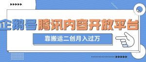 最新蓝海项目,企鹅号腾讯内容开放平台项目,靠搬运二创月入过万【揭秘】|淘骐网赚资源库