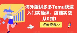 海外版拼多多Temu快速入门实操课,店铺实战从0到1|淘骐网赚资源库