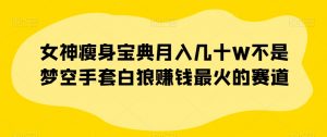 女神瘦身宝典月入几十W不是梦空手套白狼赚钱最火的赛道【揭秘】|淘骐网赚资源库
