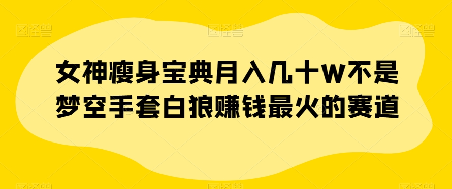 女神瘦身宝典月入几十W不是梦空手套白狼赚钱最火的赛道【揭秘】|淘骐网赚资源库