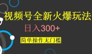视频号最新爆火玩法，日入300+，简单操作无门槛【揭秘】|淘骐网赚资源库