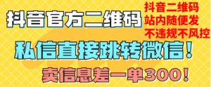 价值3000的技术！抖音二维码直跳微信！站内无限发不违规！|淘骐网赚资源库