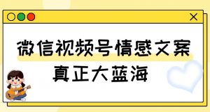 视频号情感文案，真正大蓝海，简单操作，新手小白轻松上手（教程+素材）【揭秘】|淘骐网赚资源库