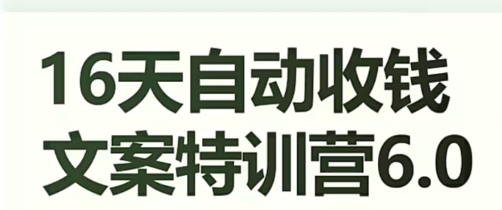 16天自动收钱文案特训营6.0,学会儿每天自动咔咔收钱|淘骐网赚资源库